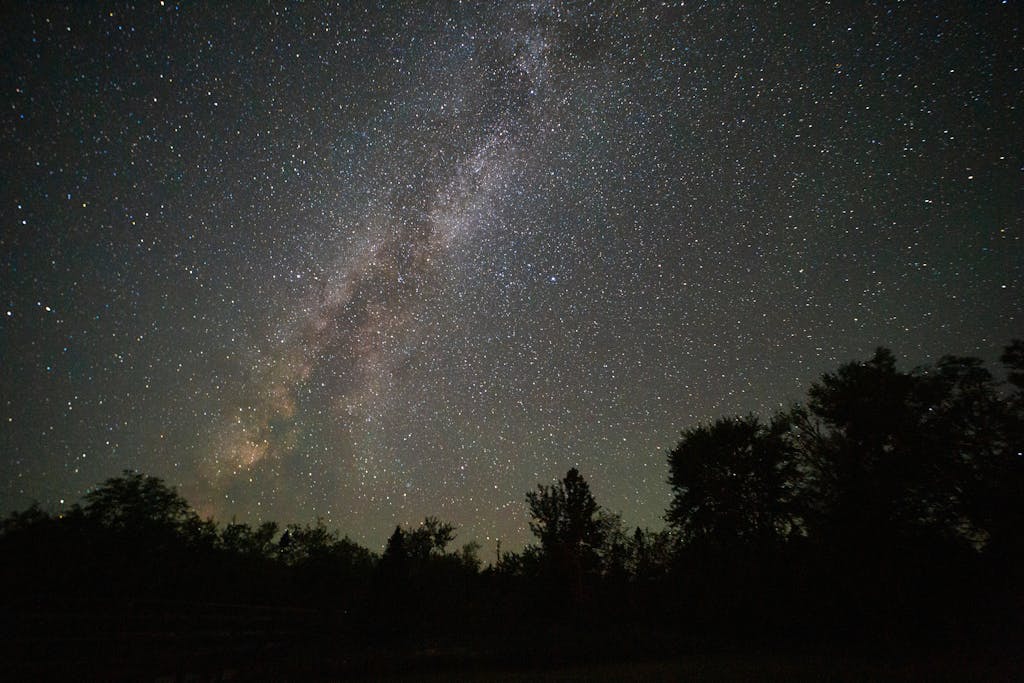 A breathtaking view of the Milky Way galaxy shining over a dark forest in Nova Scotia, Canada.